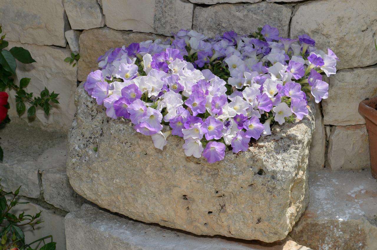Astra Alberobello