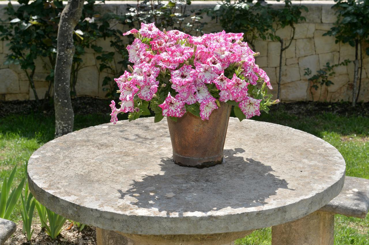 Astra Alojamento de Acomodação e Pequeno-almoço Alberobello